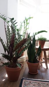groene-styling-1