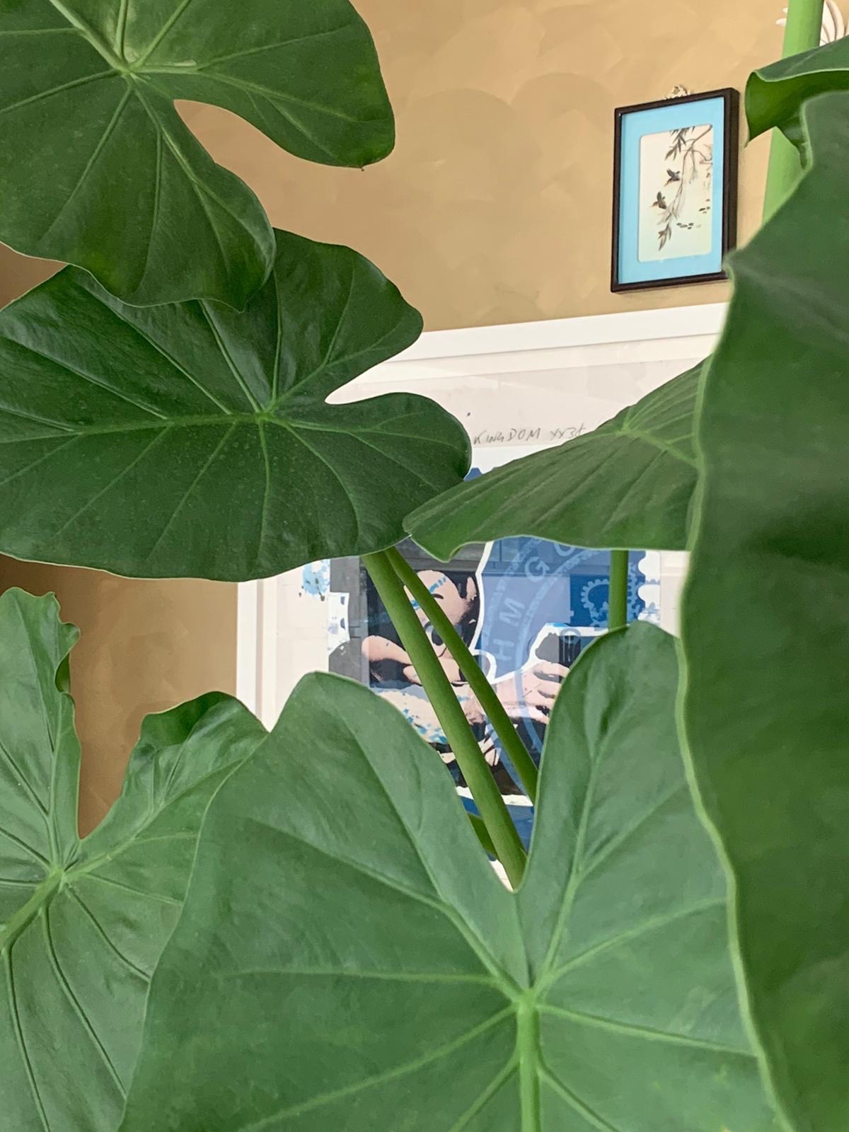 Personalgreen